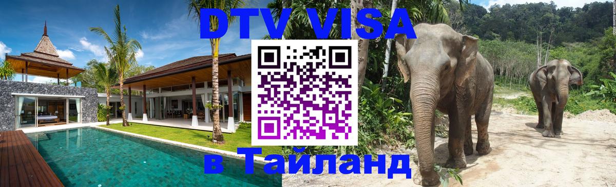 Сколько стоит DTV виза — актуальные цены, оформление даже без документов - 19.11.2025 